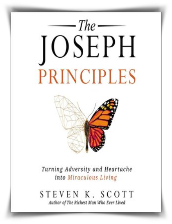 The Joseph Principles book cover